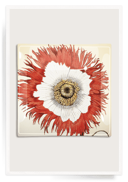 Bensgarden.com | Poppy No. 2 Decoupage Glass Tray - Bensgarden.com