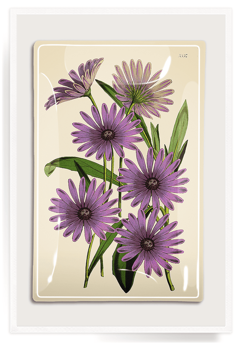 Bensgarden.com | Purple Daisy Blossoms Decoupage Glass Tray - Bensgarden.com