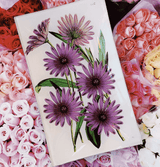 Bensgarden.com | Purple Daisy Blossoms Decoupage Glass Tray - Bensgarden.com