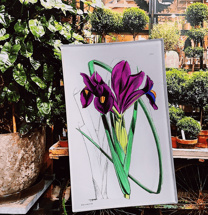 Purple Iris Decoupage Glass Tray - Wholesale Ben's Garden 