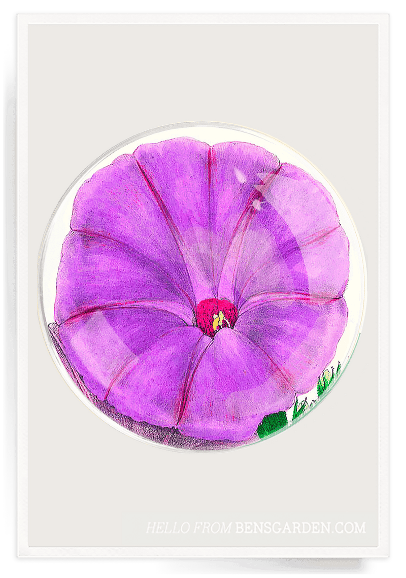 Bensgarden.com | Purple Morninglory Blossom Round Decoupage Glass Tray - Bensgarden.com