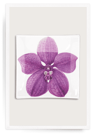 Bensgarden.com | Purple Orchid Decoupage Glass Tray - Bensgarden.com