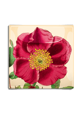 Bensgarden.com | Red Rose Flower with Green Stem Decoupage Glass Tray - Bensgarden.com