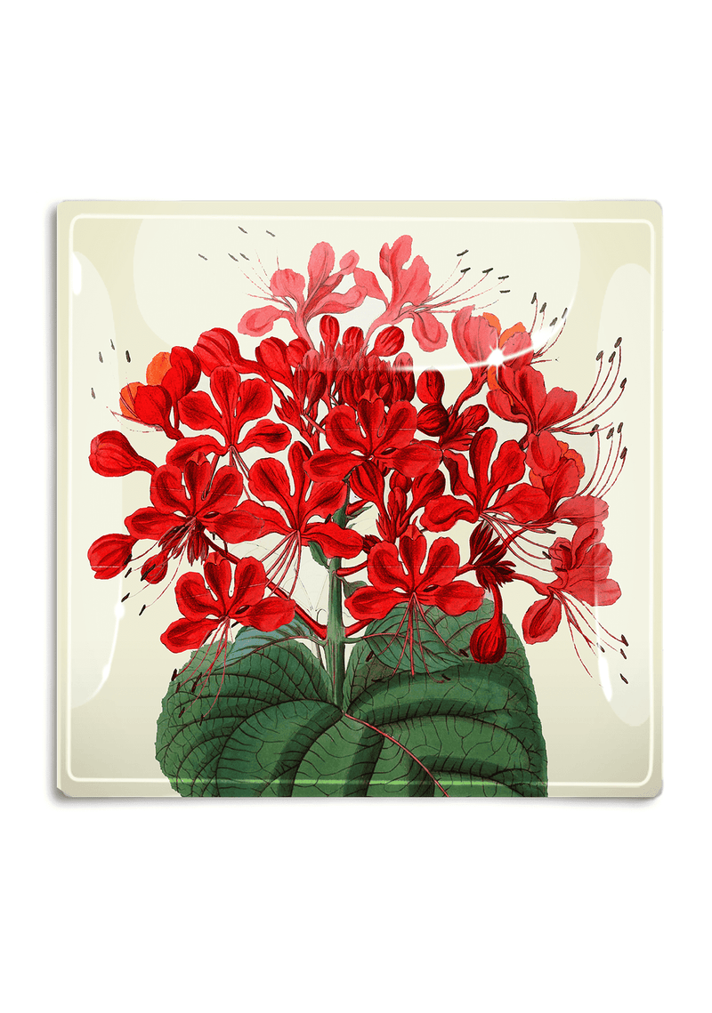 Bensgarden.com | Red Tropical Flower Decoupage Glass Tray - Bensgarden.com