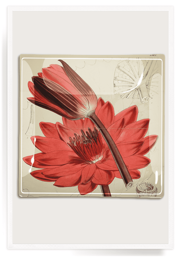 Bensgarden.com | Red Waterlily Decoupage Glass Tray - Bensgarden.com