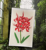 Scarlett Lily Botanical Decoupage Glass Tray - Wholesale Ben's Garden 