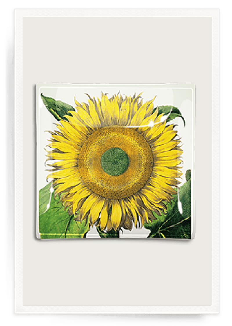 Bensgarden.com | Sunflower No.2 Decoupage Glass Tray - Bensgarden.com