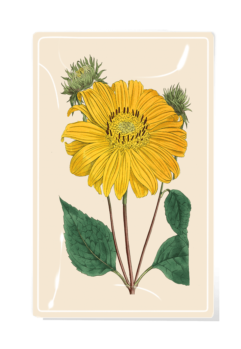Sunflower No.4 Decoupage Glass Tray - Wholesale Ben's Garden 