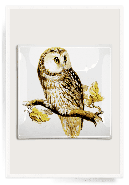 Bensgarden.com | Sweet Owl Decoupage Glass Tray - Bensgarden.com