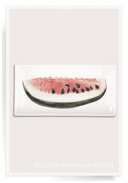 Bensgarden.com | Tasty Watermelon Decoupage Glass Tray - Bensgarden.com