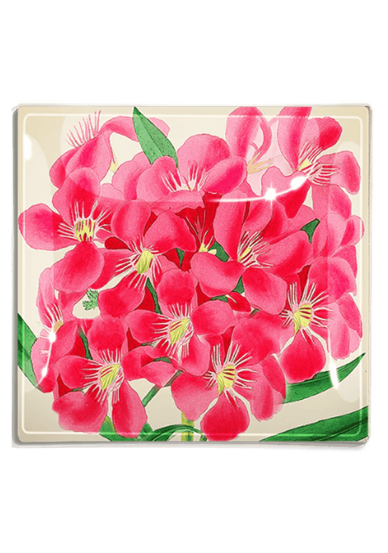 Tropical Pink Flower Decoupage Glass Tray - Wholesale Ben's Garden 