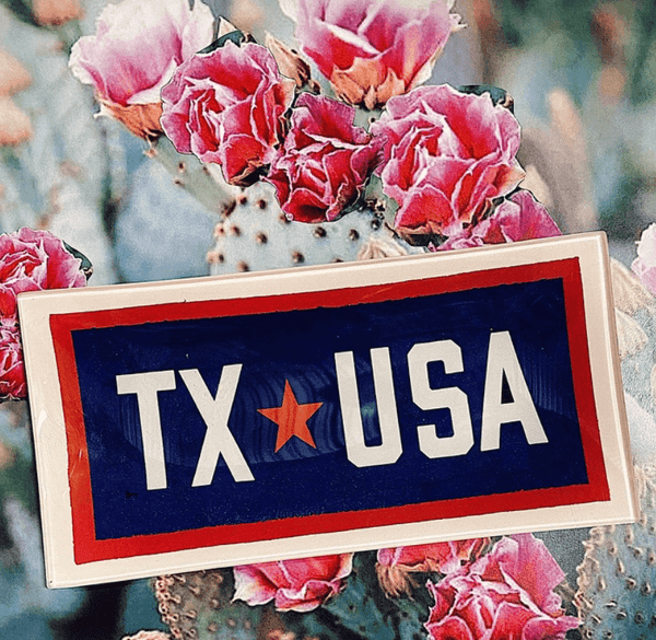 TX USA Texas Vintage Pennant Decoupage Glass Tray - Wholesale Ben's Garden 