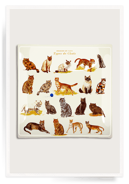 Bensgarden.com | Types De Chats Decoupage Glass Tray - Bensgarden.com