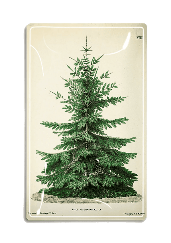 Vintage Christmas Tree Decoupage Glass Tray - Wholesale Ben's Garden 