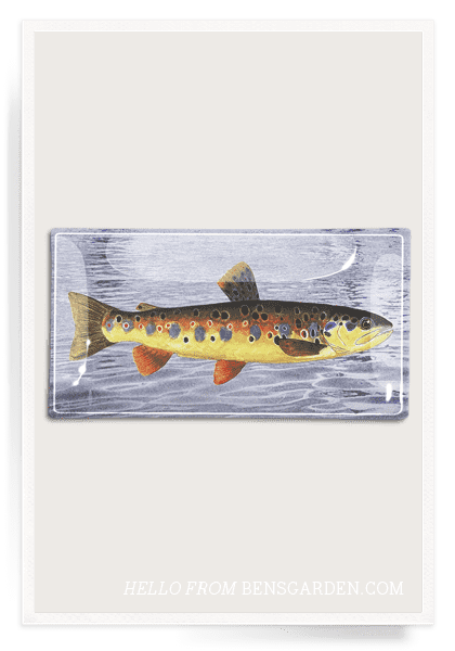 Bensgarden.com | Vintage Fish No. 2 Decoupage Glass Tray - Bensgarden.com