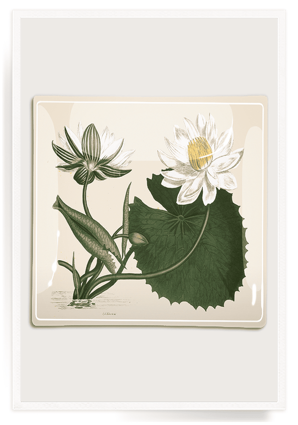 Bensgarden.com | White Water Lily Decoupage Glass Tray - Bensgarden.com