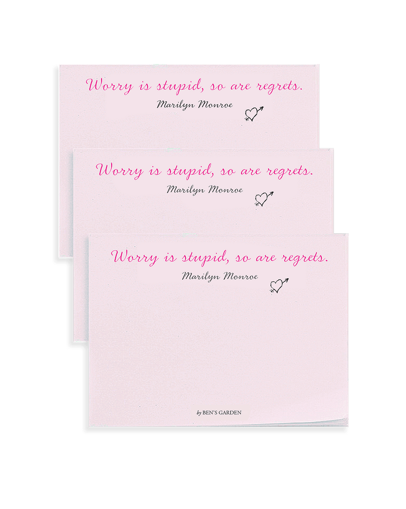 Worry Is Stupid Set/ 3 Stickies Pad // Min. Case Pack of 6 - Wholesale Ben's Garden 