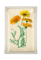 Yellow Daisies Decoupage Glass Tray - Wholesale Ben's Garden 