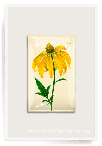 Bensgarden.com | Yellow Daisy Decoupage Glass Tray - Bensgarden.com