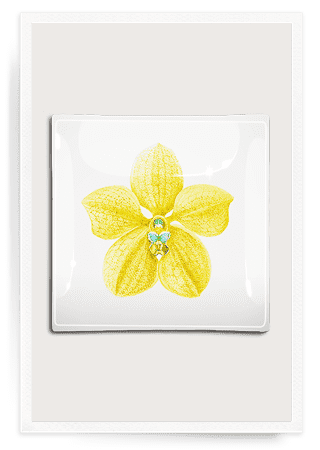 Bensgarden.com | Yellow Orchid Decoupage Glass Tray - Bensgarden.com